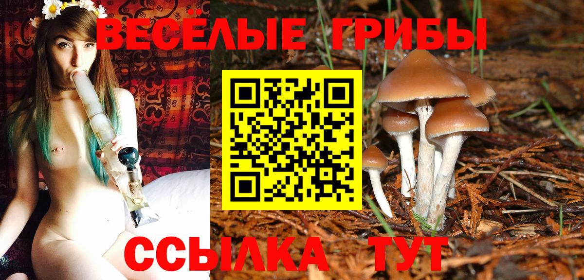 Псилоцибиновые грибы мухоморы Заводоуковск