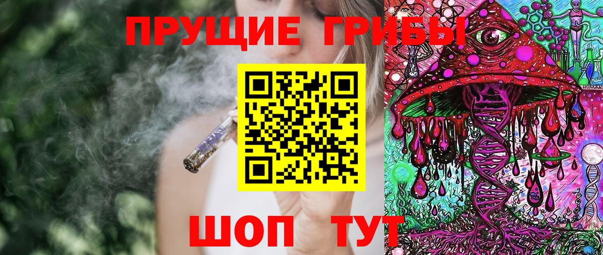 Псилоцибиновые грибы Psilocybe  Вход с VPN  Заводоуковск 